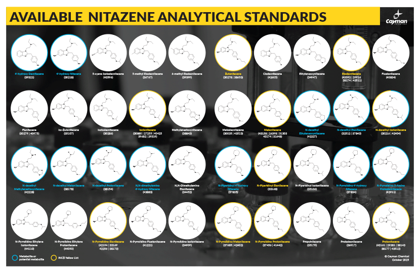 <p>​NPS Snapshot: Nitazenes<br></p>